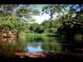 lagoa 585 438 90