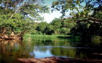 lagoa 585 438 90