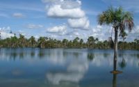 lagoa da princesinha 585 438 90